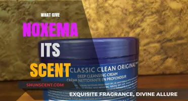 Unveiling the Secret Behind Noxema's Signature Scent