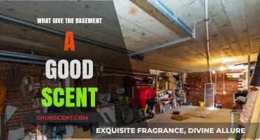Freshening Up: Natural Ways to Give Your Basement a Pleasant Aroma