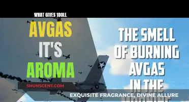 The Unique Aroma of 100LL Avgas: What's Behind It?