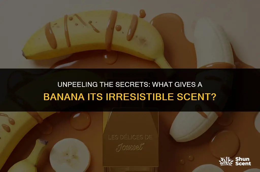 what gives a banana its scent