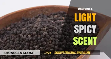 Exploring the Fragrant World: What Gives a Light Spicy Scent?