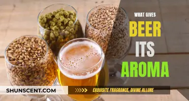 The Magic Behind Beer's Aroma: Unveiling the Secrets