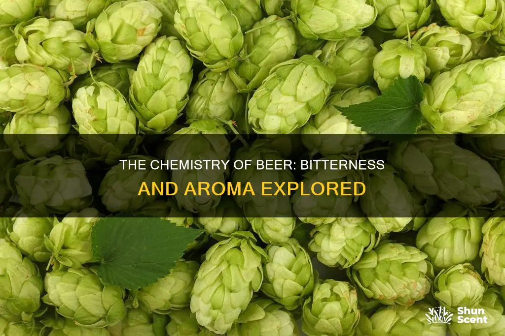 what gives beer its bitterness and aroma