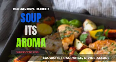 Unraveling Campbell's Chicken Soup Aroma: A Recipe's Secret