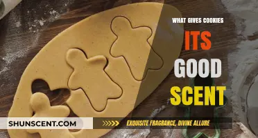 Unveiling the Secret: What Gives Cookies Their Irresistible Aroma?