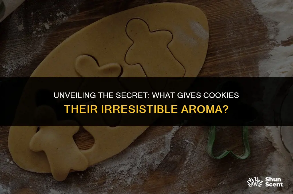 what gives cookies its good scent