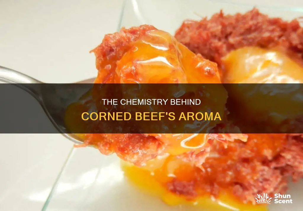 what gives corned beef that aroma