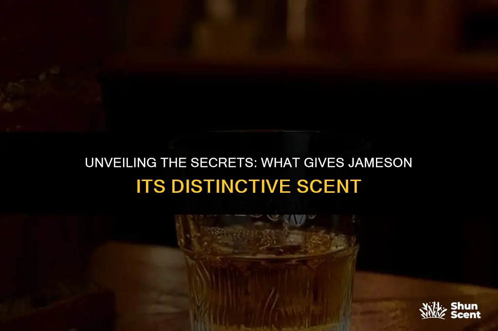 what gives jameson it