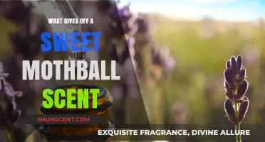 The Alluring Mystery: What Gives Off a Sweet Mothball Scent?