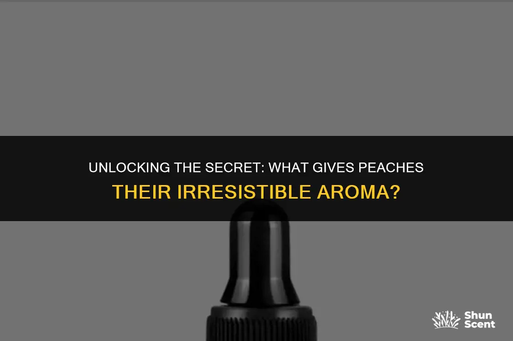 what gives peaches their distinct scent