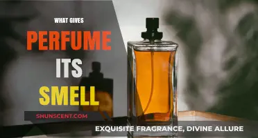The Science of Scents: Unlocking Perfume Aromas