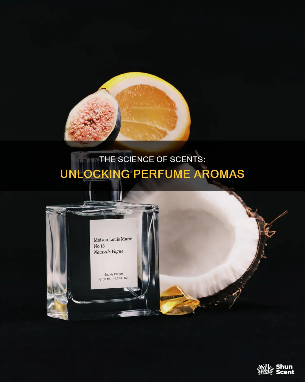 what gives perfume its smell