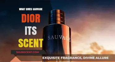 Unveiling the Essence: What Gives Sauvage Dior Its Irresistible Scent