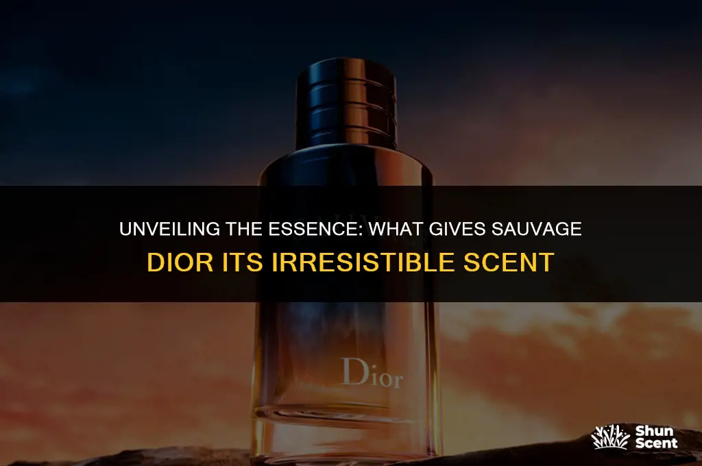 what gives sauvage dior its scent