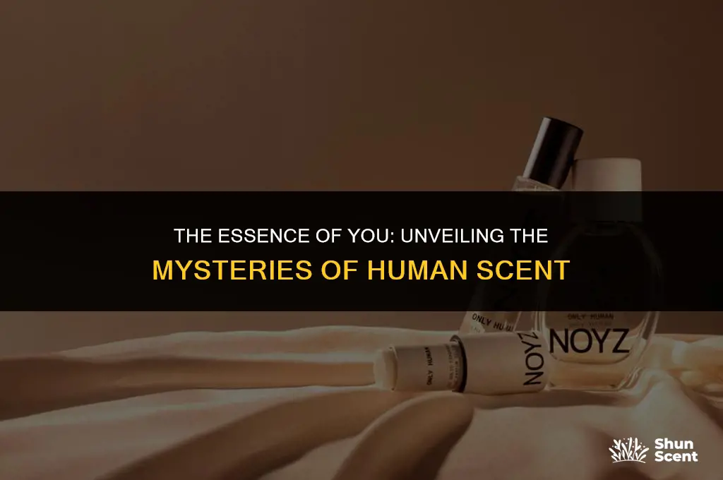 what gives us our scent