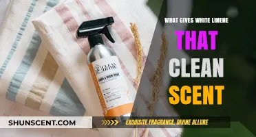 The Secret Behind White Linen's Fresh, Clean Scent