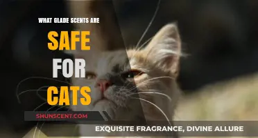 Feline-Friendly Fragrances: Safe Glade Scents for Your Cat's Environment