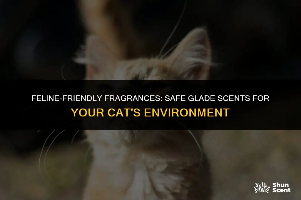 what glade scents are safe for cats