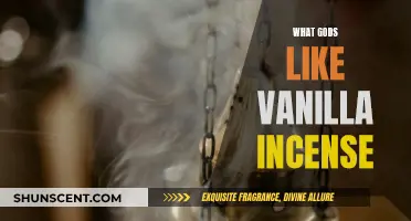 Gods' Favorite Scent: Vanilla Incense and Its Divine Appeal