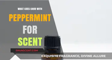 Perfect Peppermint Pairings: Enhancing Aromas for a Refreshing Scent Experience