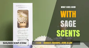 Elevate Your Space: The Perfect Companions for Sage Scents