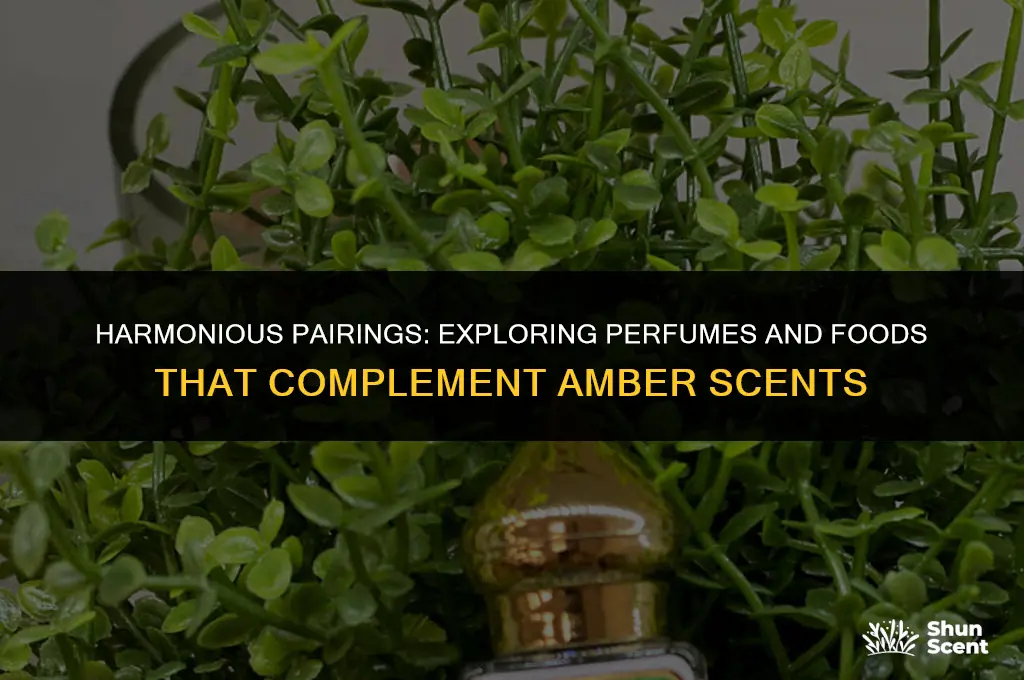 what goes good woth amber scents
