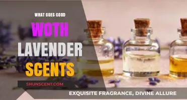 Enchanting Pairings: Discover What Goes Perfectly with Lavender Scents