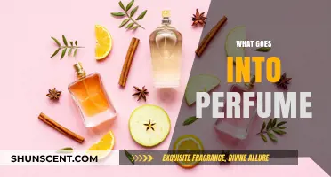 Unveiling the Art of Fragrance: Ingredients Behind Every Perfume