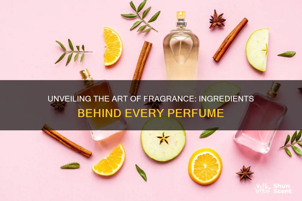 what goes into perfume