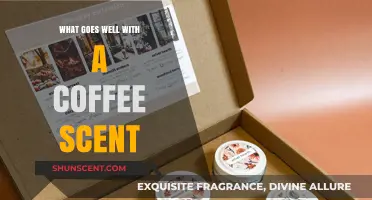 Aromatic Harmony: Exploring Scents That Perfectly Complement Coffee