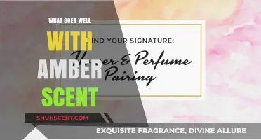 Harmonious Pairings: Discover What Complements the Amber Scent