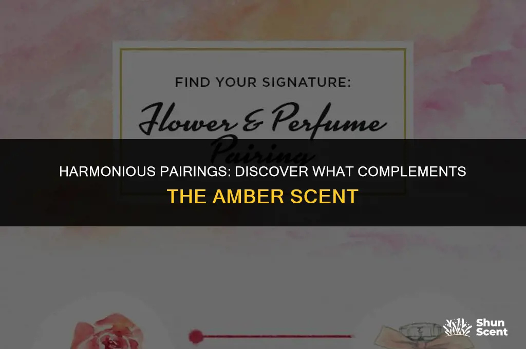what goes well with amber scent