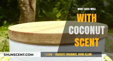Tropical Harmony: Exploring Scents That Perfectly Complement Coconut