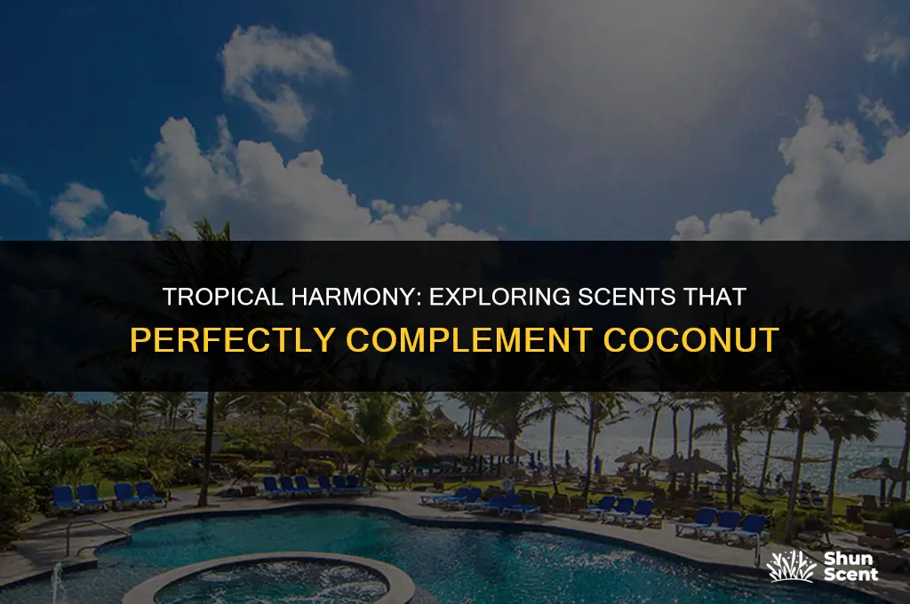 what goes well with coconut scent