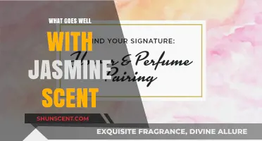 Fragrant Pairings: Discover What Complements Jasmine's Alluring Aroma
