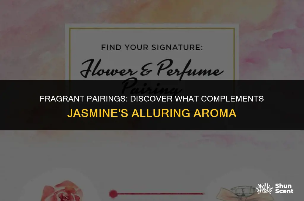 what goes well with jasmine scent
