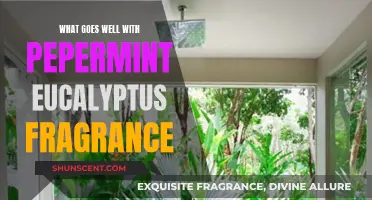 Enhancing Scents: Complementary Notes for Peppermint Eucalyptus