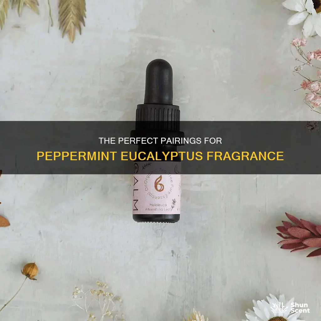 what goes well with pepermint eucalyptus fragrance