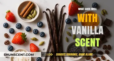 Vanilla Vibes: Discovering the Perfect Pairings for a Timeless Scent