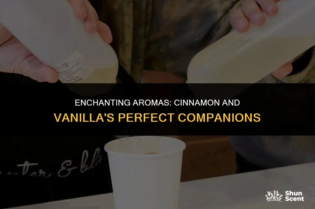 what goes with cinnamon and vanilla scents