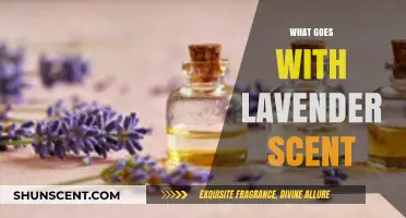 Enchanting Pairings: What Goes Perfectly with Lavender Scent