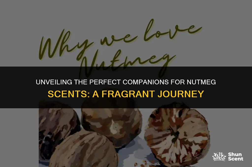 what goes with nutmeg scents
