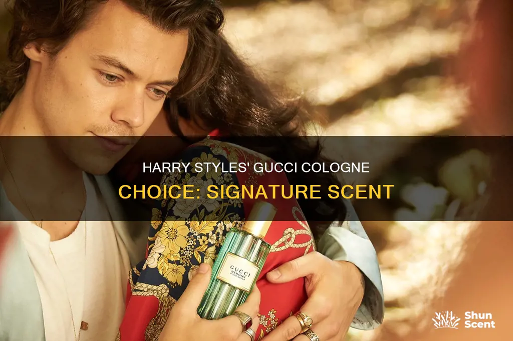 what gucci cologne does harry styles wear