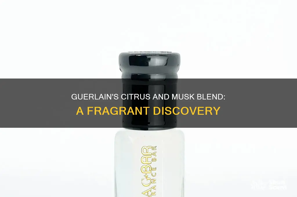 what guerlain perfume has citrus and musk