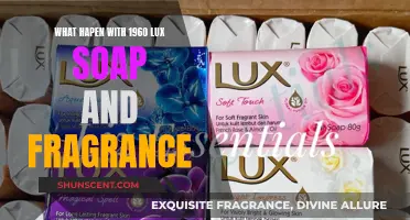 The Disappearance of 1960s Lux: A Fragrance Mystery