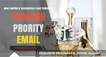Accidentally Sent Perfume via Priority Mail? Here’s What Happens Next