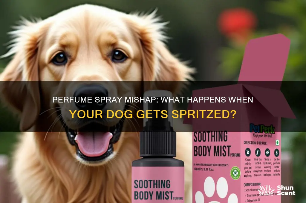 what happend to my fdog if its sprayed with perfume