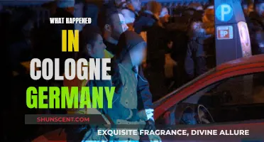 Cologne, Germany: A Chaotic New Year's Eve