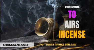 Incense: Airs of Mystery and Disappearance