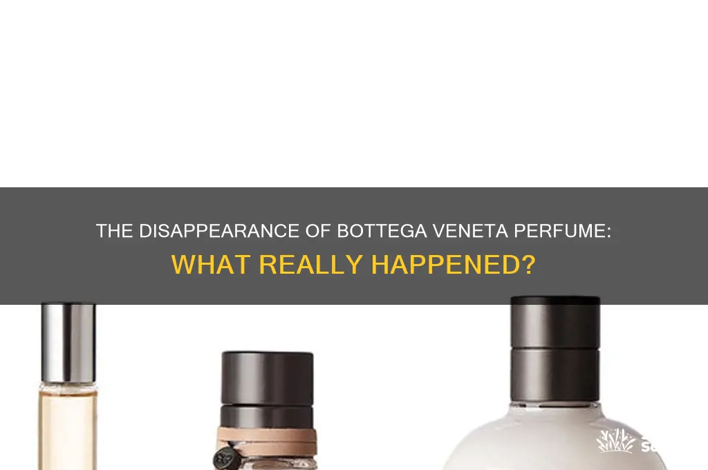 what happened to bottega veneta perfume